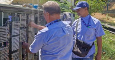 Cantv restituye servicios de telefonía e Internet a suscriptores de La Guaira