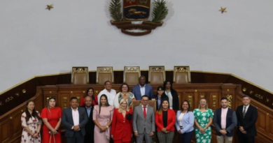 AN instala grupo de amistad parlamentaria con Perú y cuatro países de África