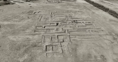 Arqueólogos hallan cientos de artefactos de tres mil años de antigüedad en Irak