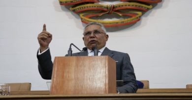 Asamblea Nacional presenta proyecto de reforma de Ley de los Símbolos Patrios