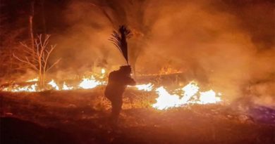 Bolivia redoblará acciones contra incendios forestales