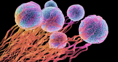 Científicos desarrollan tratamiento eficaz para curar y prevenir el cáncer