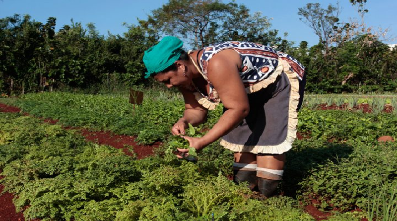 Reconocen empoderamiento de mujeres rurales en Cuba
