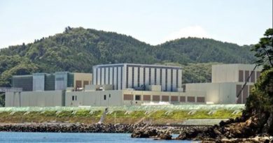 Central nuclear japonesa reinicia operaciones tras una década detenida
