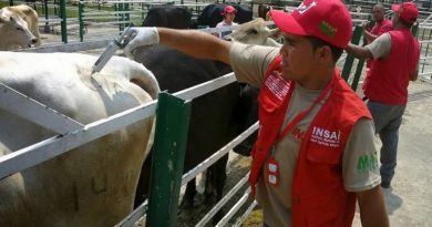 Ciclo de Vacunación Contra la Fiebre Aftosa inicia el 1 de noviembre en Táchira