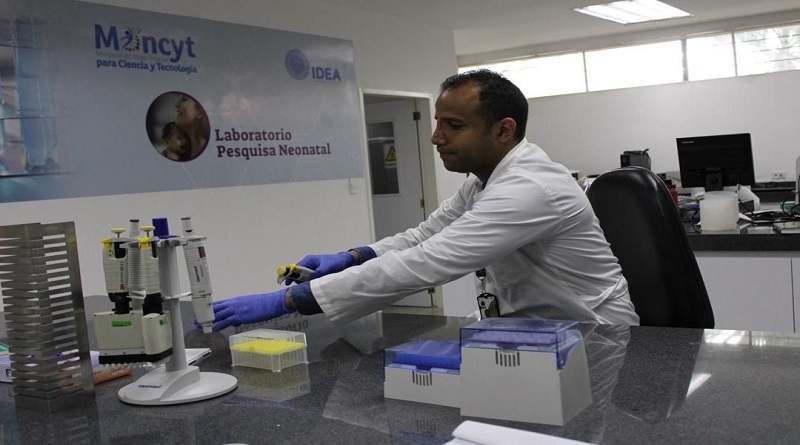 Estudian sobrevivencia de bacterias ácido lácticas en fermentación de alimentos