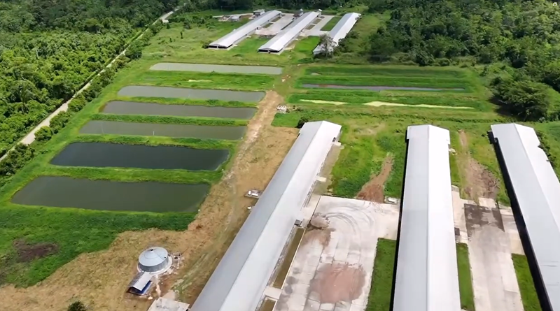 Nuevas alianzas estratégicas potencian producción en Táchira