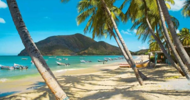 Embellecimiento de Bulevar de Margarita atraerá turistas locales y extranjeros