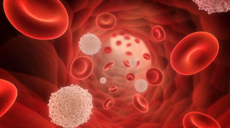 Mutación de un gen podría relacionarse con el 60 % de casos de leucemia