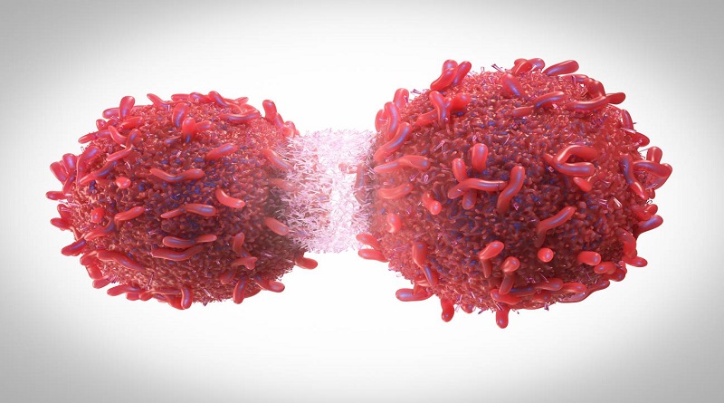 Macroestudio estrecha el cerco en la lucha contra el cáncer