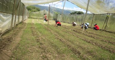 Reactivan Fundo Zamorano José Rafael Revenga en Aragua