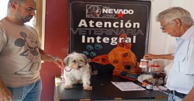 Misión Nevado realiza jornada nacional para atender a los animales con esterilización