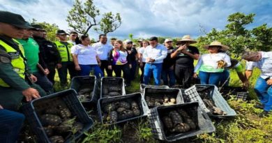 Gobierno Nacional libera 443 morrocoyes sabaneros en el municipio Piar de Bolívar