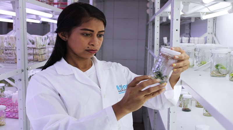 Evalúan bioinsumos para controlar el cultivo de cítricos