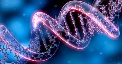 La genética determina más la esperanza de vida que la dieta