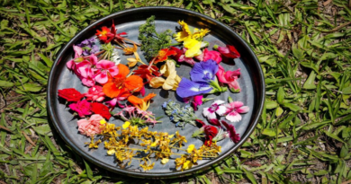 ¿Sabes qué es la florifagia y sus beneficios para la salud?