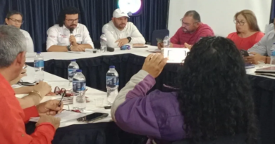 Merida sector economico