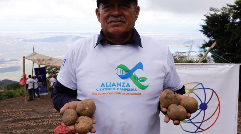 Productores de papa intercambian experiencias en Falcón