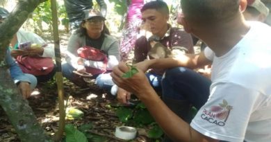 Productores de Alto Apure aprenden técnicas para cultivo del cacao