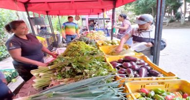 Mercado a cielo abierto favoreció a habitantes de El Encanto en Miranda