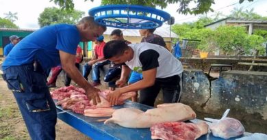 Unidad Porcina de San Carlos de Río Negro abastece frontera amazonense