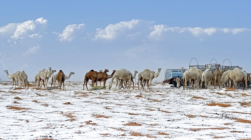 desierto-arabia-saudita-registra-primera-nevada