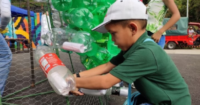 Niños y niñas construyen "Árbol Ecológico de los Deseos" en Caracas