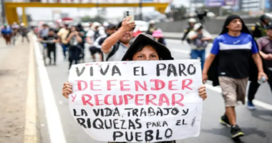 Comienzan transportistas peruanos paro de 72 horas ante creciente inseguridad