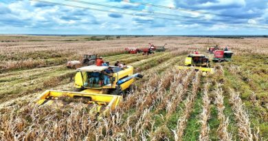guarico-produccion-agricola-nacional-cosecha-maiz