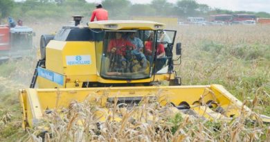 guarico-posiciona-productor-cereales-nivel-nacional