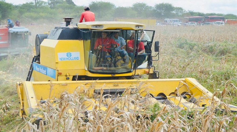 guarico-posiciona-productor-cereales-nivel-nacional