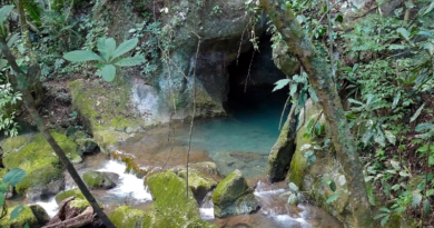 Hallan en Belice canales de pesca usados por predecesores de los Mayas