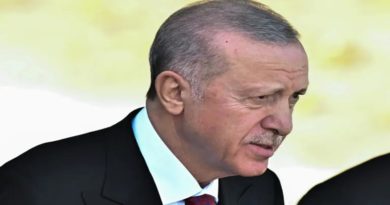 Presidente turco cuestiona "licencias" a Ucrania para usar misiles contra Rusia