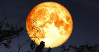 Última Superluna del 2024 iluminará el cielo el 14 de noviembre