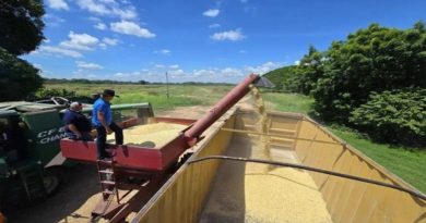 Supervisan inicio de cosecha de 200 hectáreas de maíz blanco en Apure
