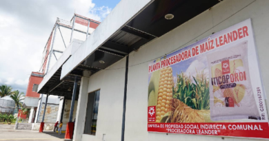 Gobierno Nacional otorga sello Norven a harina "Ticoporo" como marca de calidad