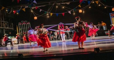 Compañía Nacional de Danza presentará Gala navideña en Caracas