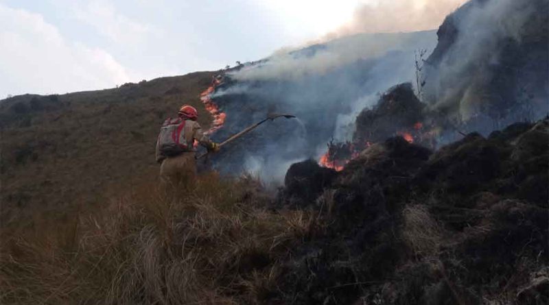 Ecuador tiene 17 incendios forestales activos