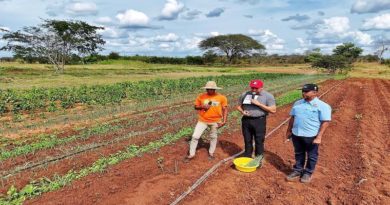 Plan Conuquero fortalece la producción para la soberanía alimentaria en el país