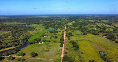 Apure rehabilita vías agrícolas para beneficiar familias campesinas