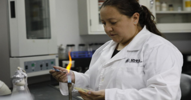Investigadores avanzan en biodesulfuración para combustibles más limpios