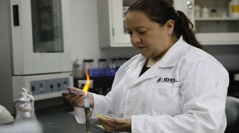 Investigadores avanzan en biodesulfuración para combustibles más limpios