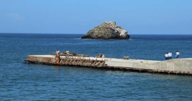 Construcción del muelle de Ocumare de la Costa tiene un avance del 95%