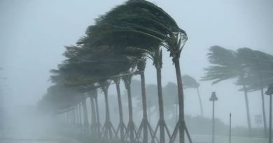 Estudio revela que teléfonos inteligentes alimentaron mortíferos huracanes en 2024