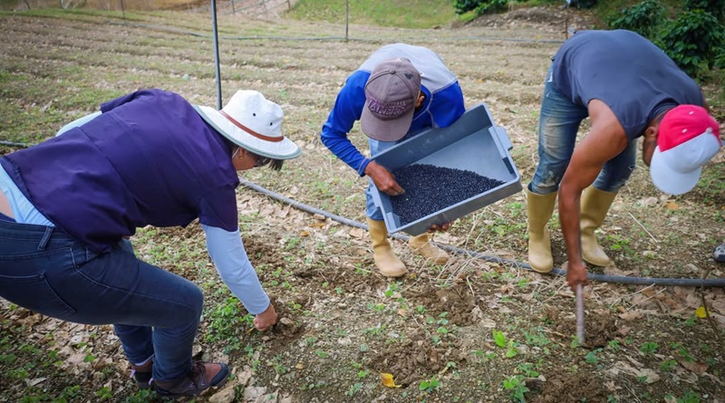 Promueven prácticas agrícolas sustentables con proyecto ARCAL RLA-5090
