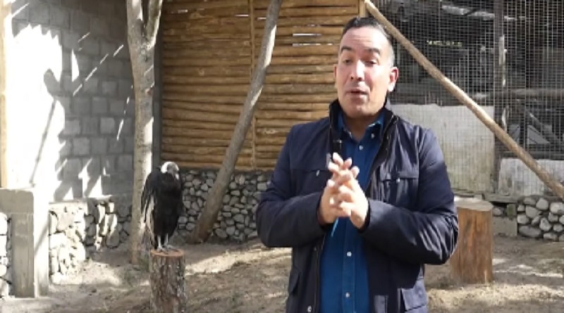 Activan Centro de Reproducción y Rehabilitación del Cóndor de los Andes
