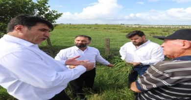 Fondo Iraní evalúan oportunidad de inversión agrícola, pecuaria y energética