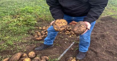 Mérida será sede de Intercambio de Saberes con productores semilleristas