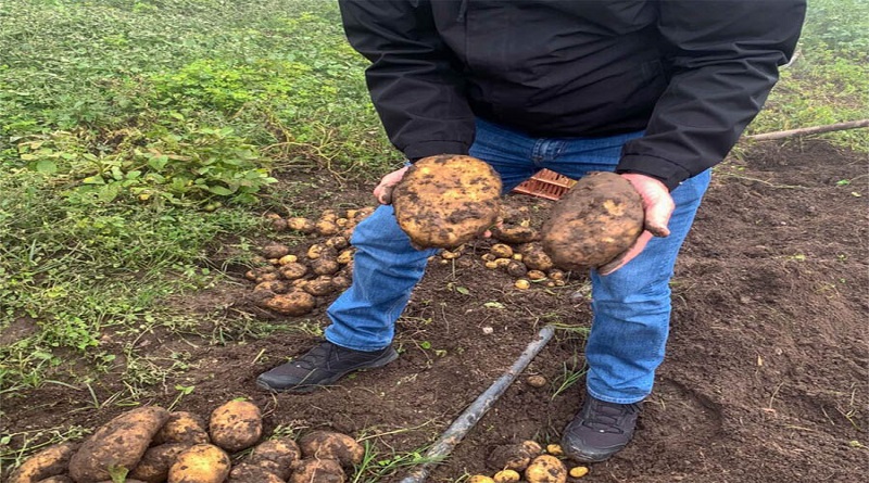 Mérida será sede de Intercambio de Saberes con productores semilleristas