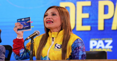 Pueblo acató llamado del 15-D para gritarle al mundo que en Venezuela hay paz